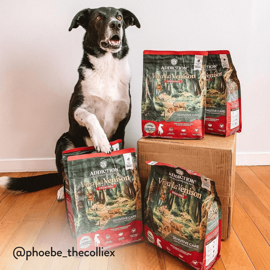 Viva La Venison Dry Dog Food - Elite Pet Collective