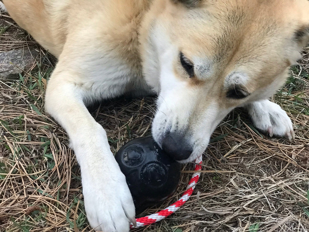 USA-K9 Skull Dog Chew Toy & Treat Dispenser - Made in USA | SodaPup - Elite Pet Collective