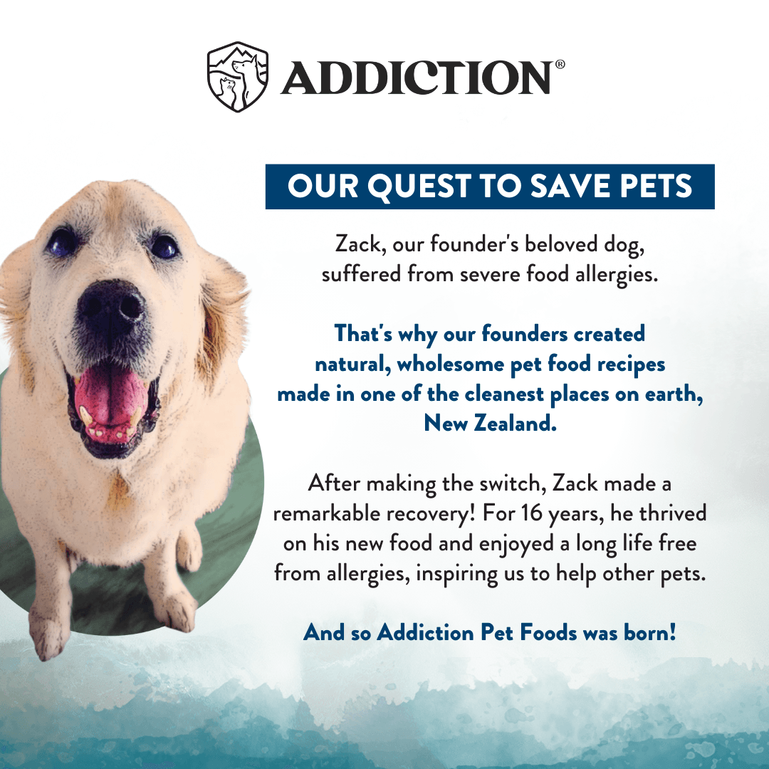 Wild Islands Pacific Catch Premium King Salmon Mackerel & Hoki Dry Dog Food - Elite Pet Collective