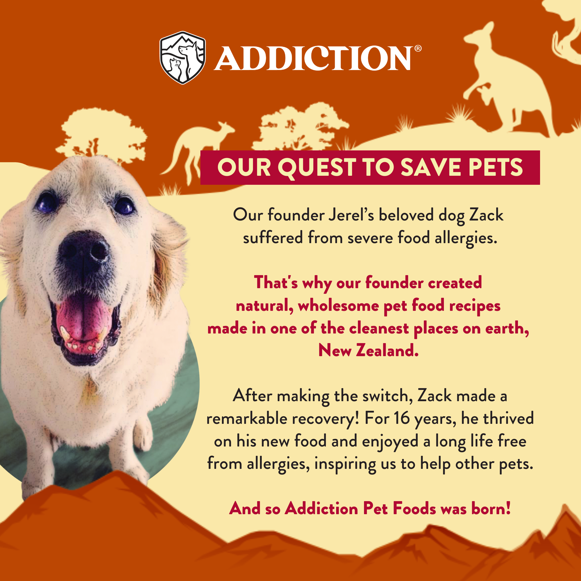 Outback Kangaroo Feast Air-Dried Dog Food - Elite Pet Collective