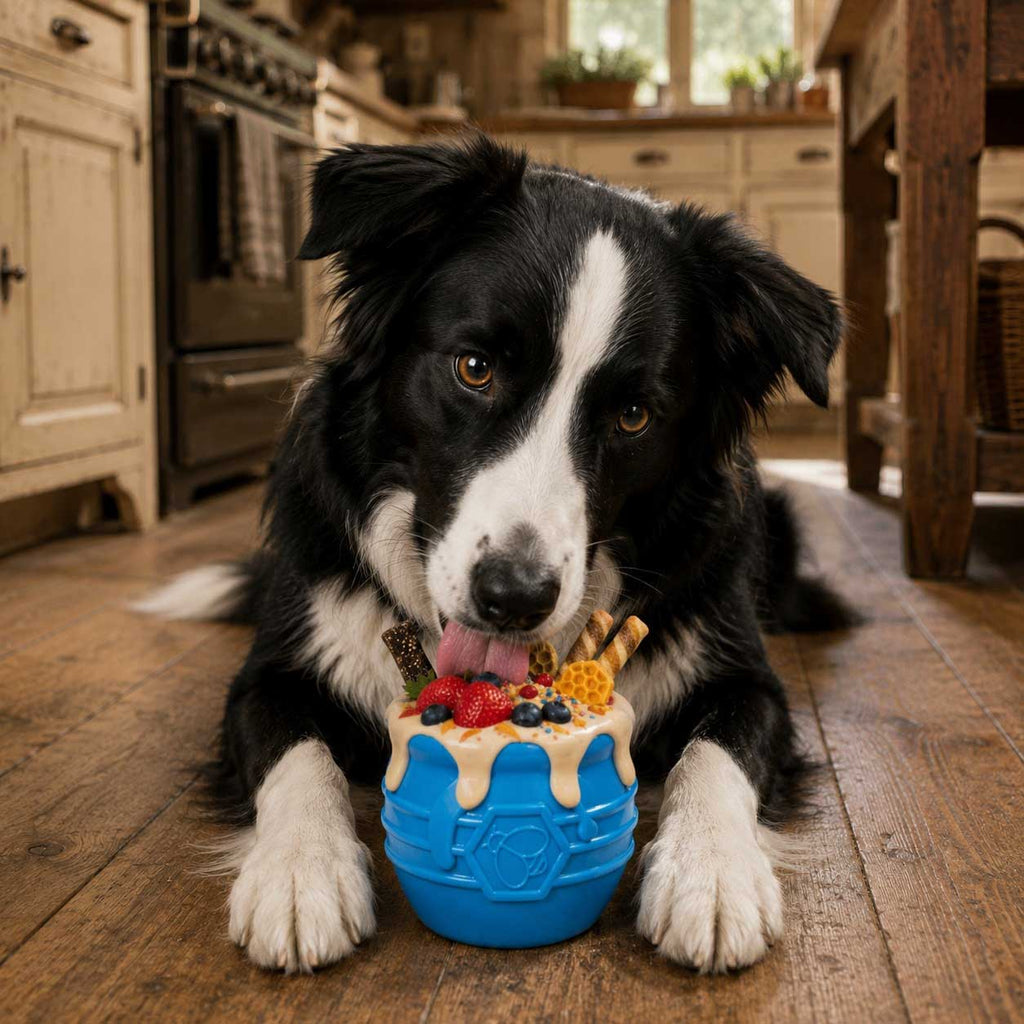 Honey Pot Dog eCup Treat Dispenser | Durable PUP-X Rubber Enrichment Toy | USA Made - Elite Pet Collective