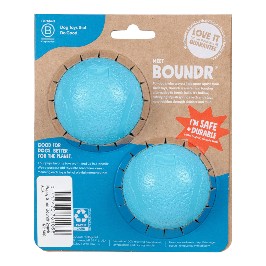 Small Boundr 2-Pack Aqua - Elite Pet Collective