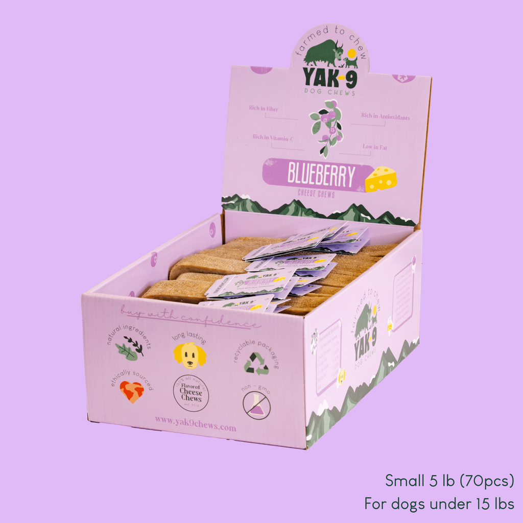 Blueberry Cheese Chews for Dogs - Elite Pet Collective
