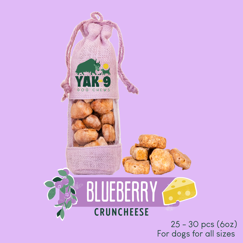 Blueberry Cheese Chews for Dogs - Elite Pet Collective