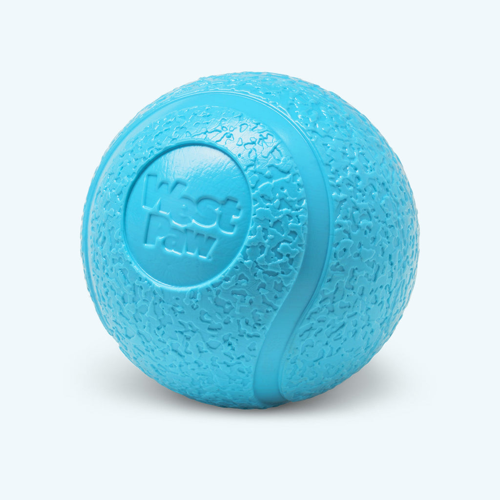 Small Boundr 2-Pack Aqua - Elite Pet Collective