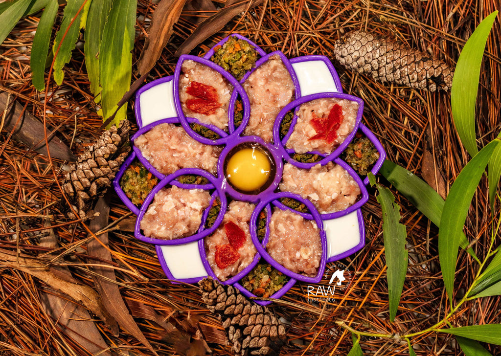 Raw Chicken & Turkey Meal Blend for Cats & Dogs — Prey Model Raw | Raw Instincts Florida - Elite Pet Collective