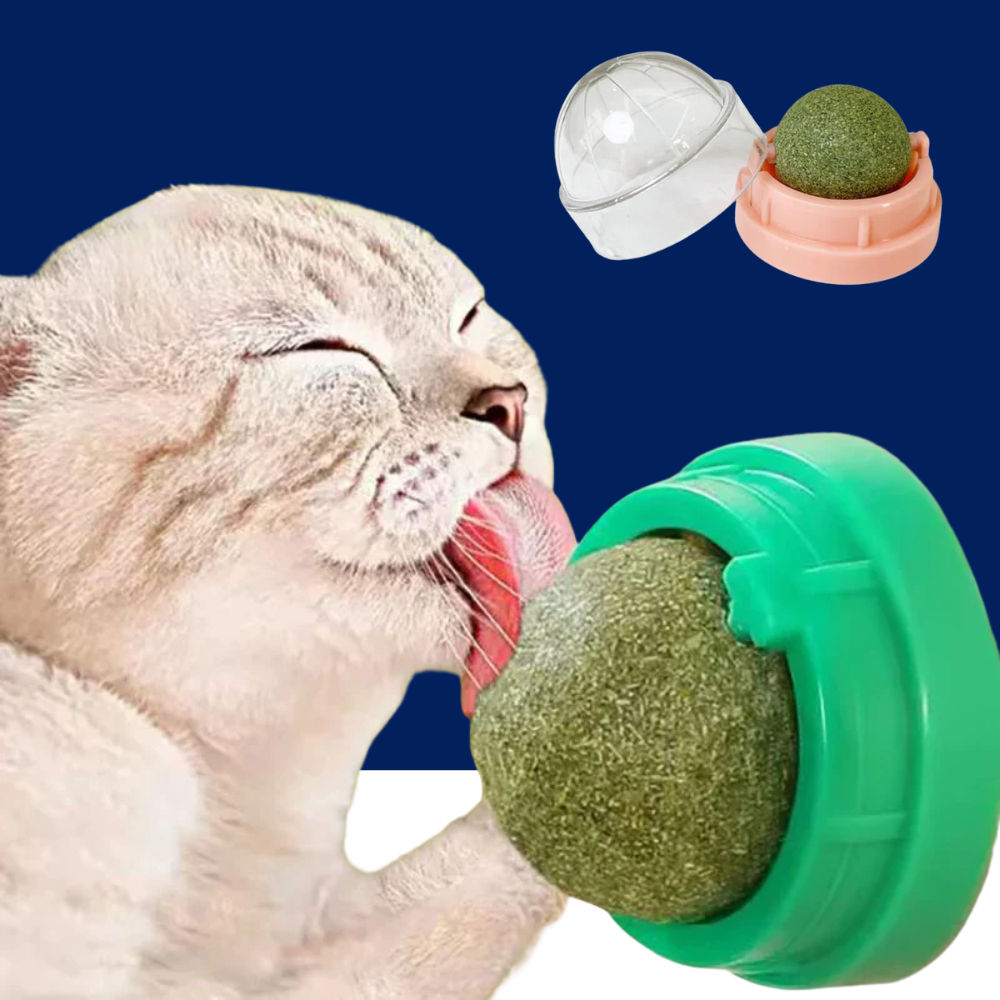 Catnip Wall Ball Treats – Digestive Aid & Fun for Cats - Elite Pet Collective