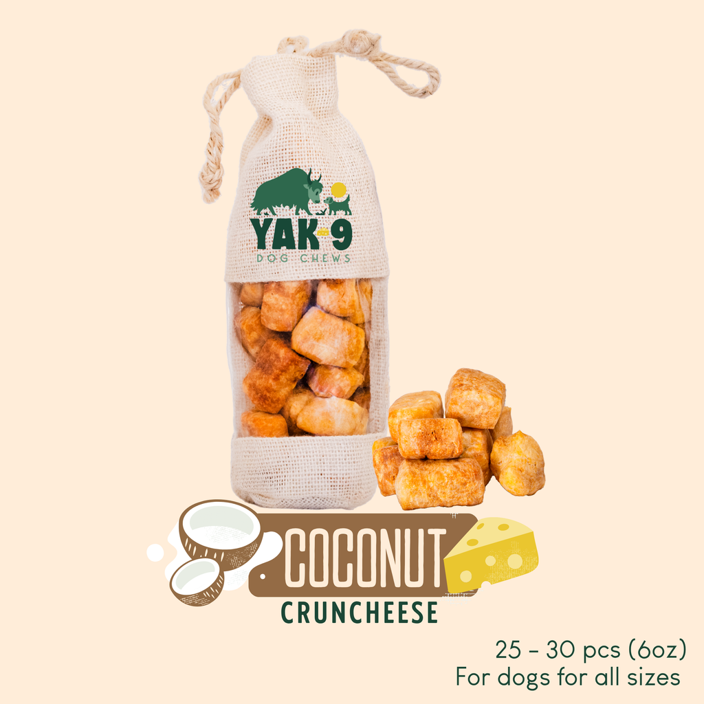 Coconut Cheese Chews for Dogs - Elite Pet Collective