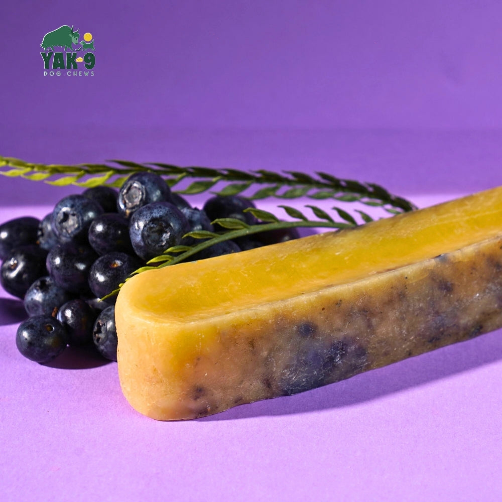 Blueberry Cheese Chews for Dogs - Elite Pet Collective