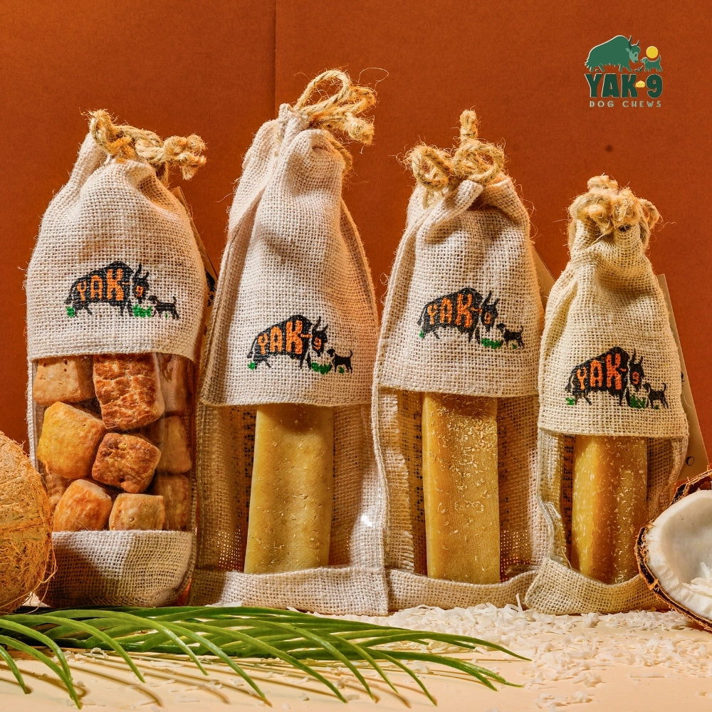 Coconut Cheese Chews for Dogs - Elite Pet Collective