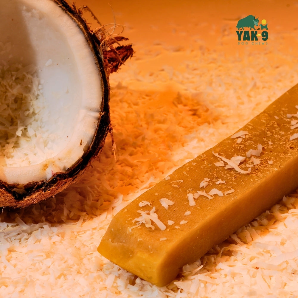 Coconut Cheese Chews for Dogs - Elite Pet Collective