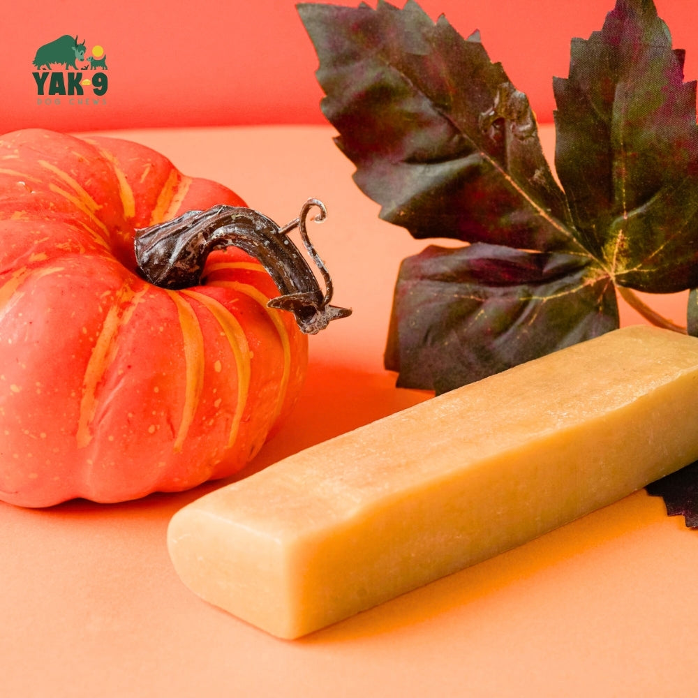 Pumpkin Cheese Chews for Dogs - Elite Pet Collective