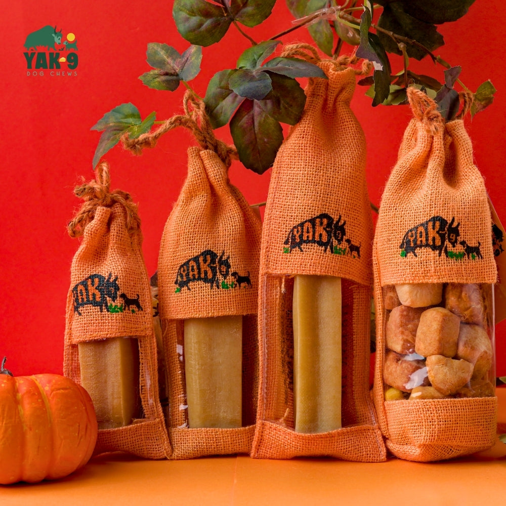Pumpkin Cheese Chews for Dogs - Elite Pet Collective
