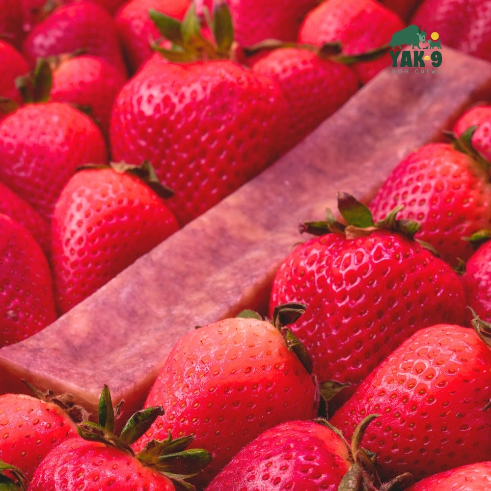 Strawberry Cheese Chews for Dogs - Elite Pet Collective