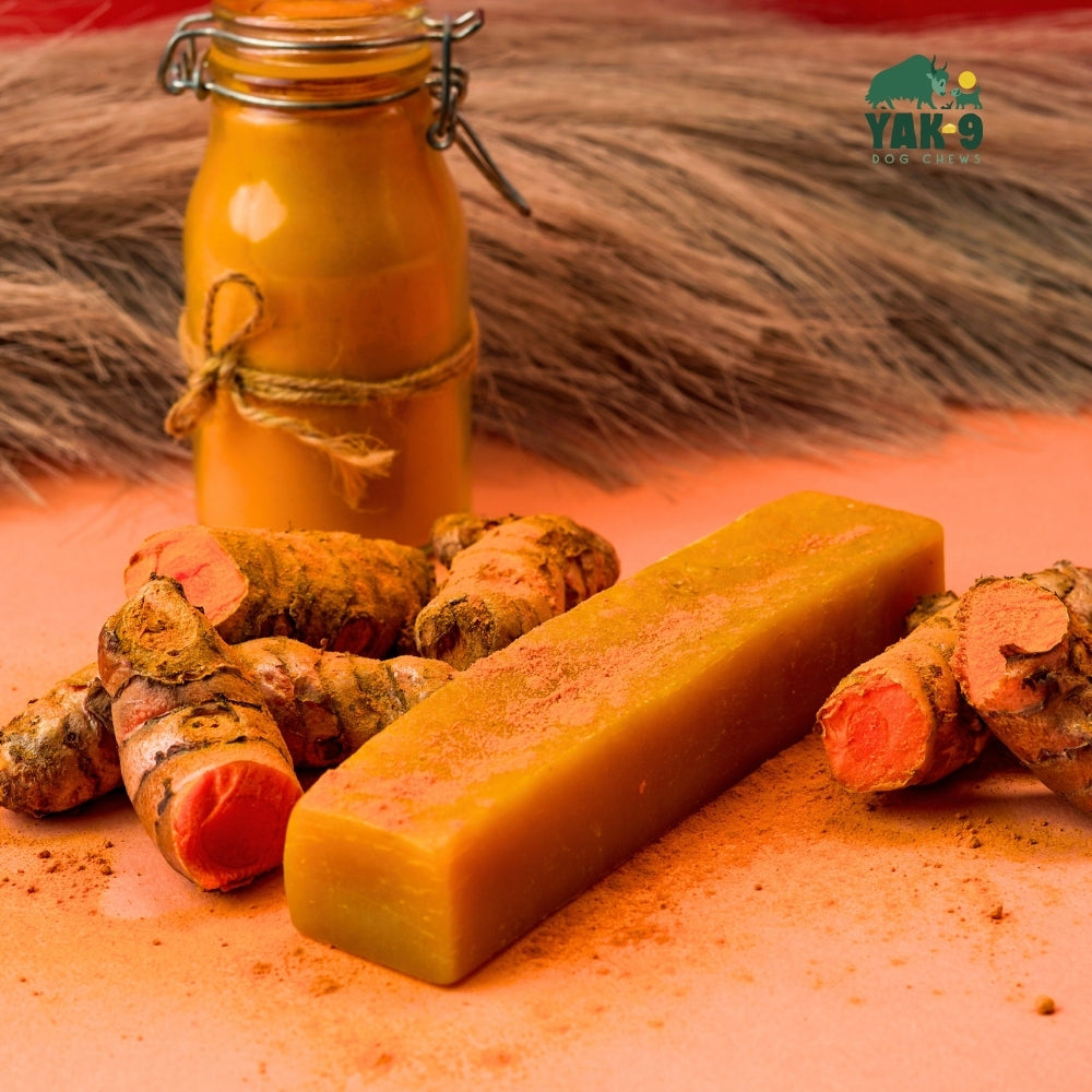 Turmeric Cheese Chews for Dogs - Elite Pet Collective