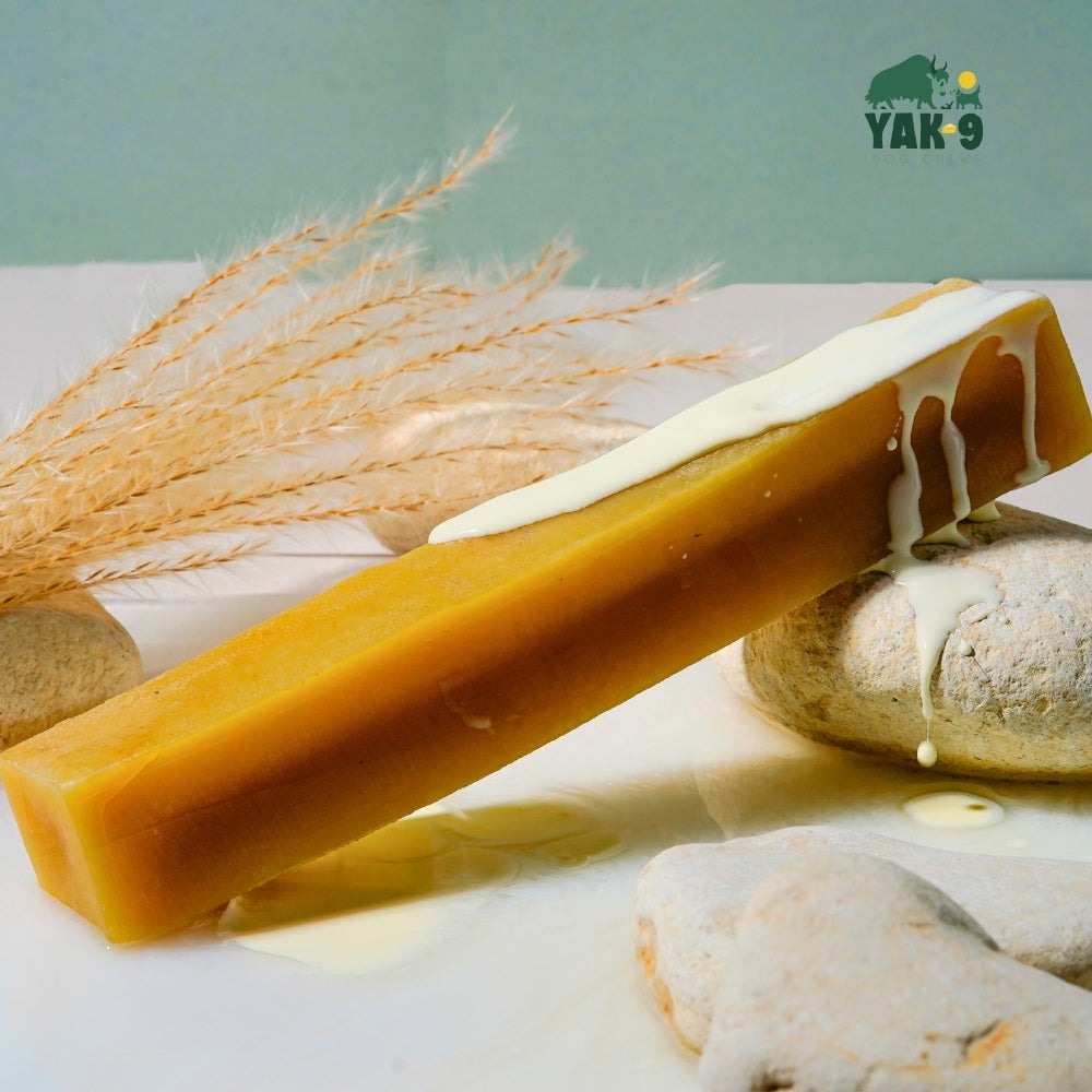 Yak and Cow Cheese for Dogs - Natural Chew Treats for Happy, Healthy Pups - Elite Pet Collective