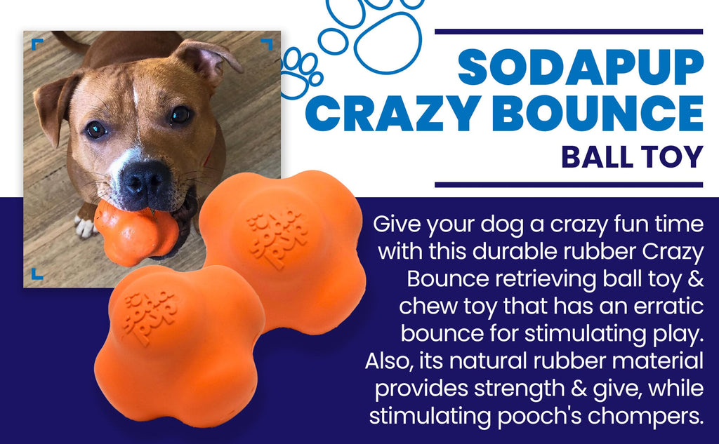 Crazy Bounce Rubber Dog Chew Toy for Power Chewers | Retrieving Ball | USA Made - Elite Pet Collective