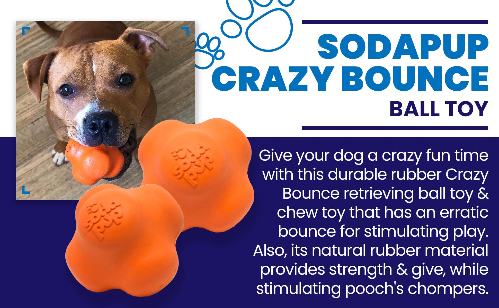 Crazy Bounce Rubber Dog Chew Toy for Power Chewers | Retrieving Ball | USA Made - Elite Pet Collective