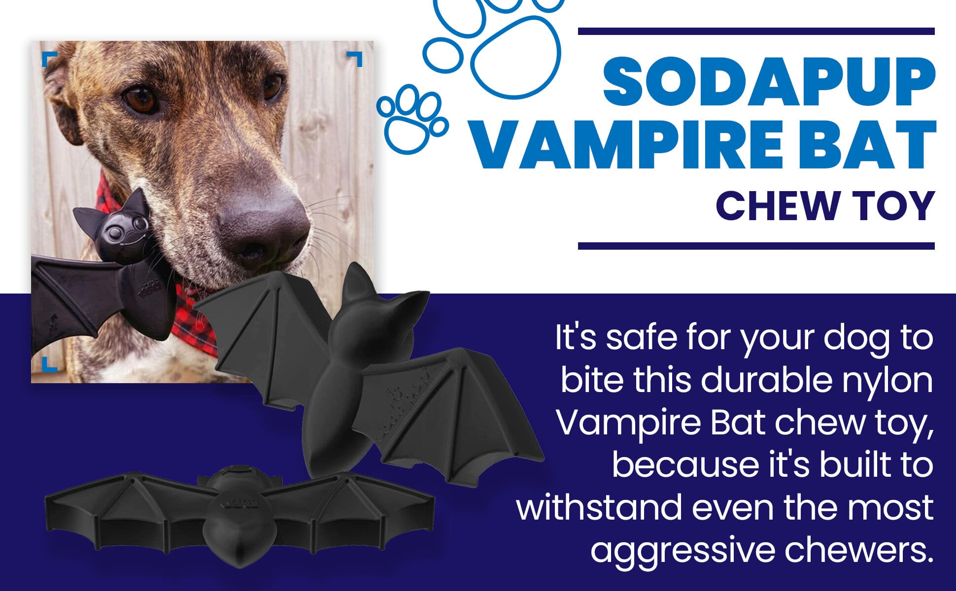Vampire Bat Nylon Dog Chew Toy for Aggressive Chewers | USA Made & FDA Compliant - Elite Pet Collective