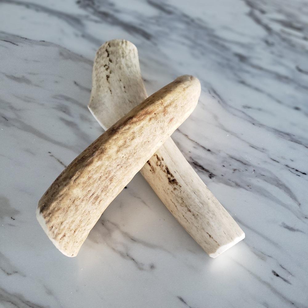 Large Whole Elk Antler Dog Chew - Elite Pet Collective
