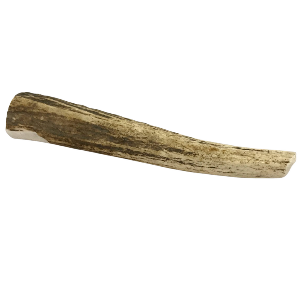 Large Whole Elk Antler Dog Chew - Elite Pet Collective