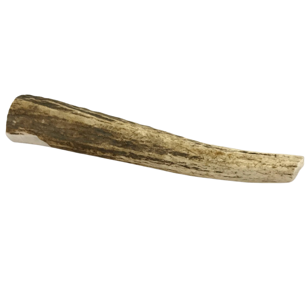 Large Whole Elk Antler Dog Chew - Elite Pet Collective