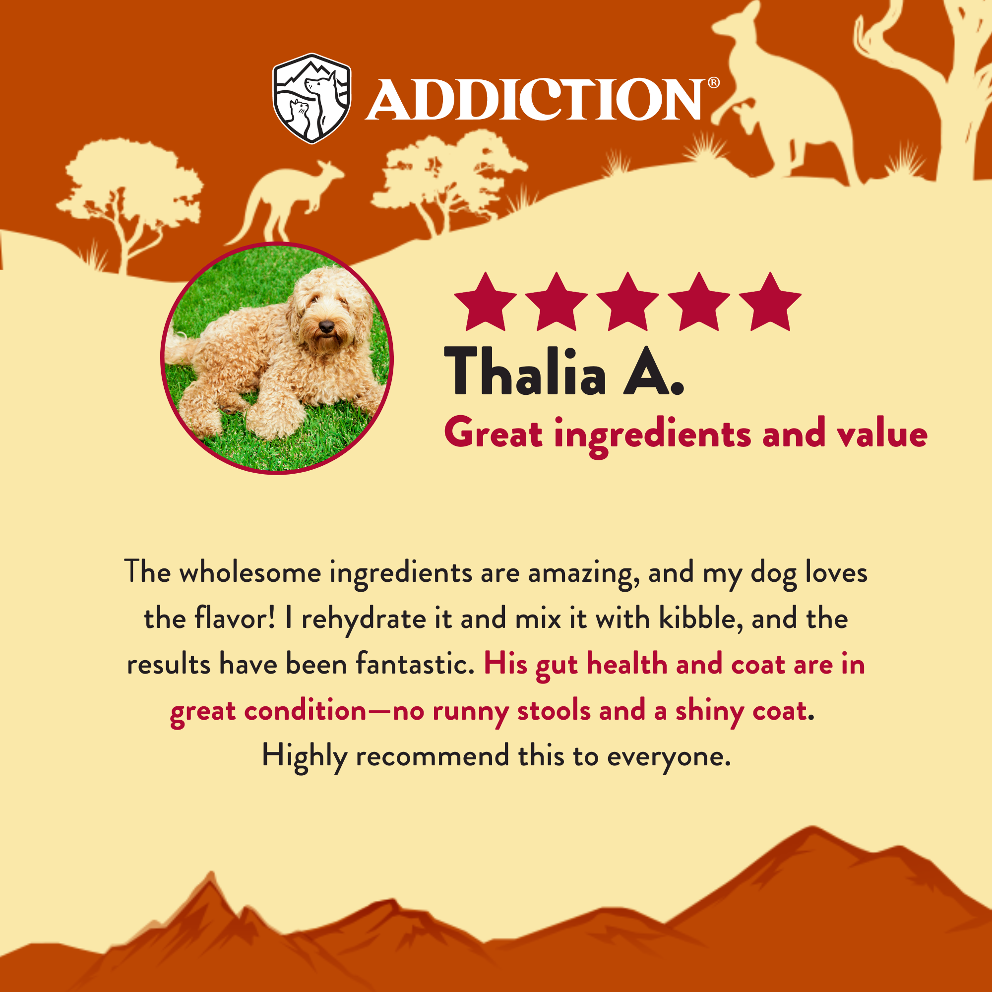 Outback Kangaroo Feast Air-Dried Dog Food - Elite Pet Collective