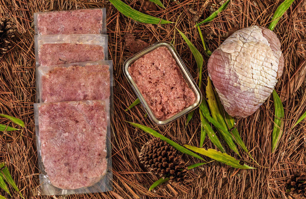 Raw Turkey Meal Blend for Cats & Dogs — Prey Model Raw | Raw Instincts Florida - Elite Pet Collective