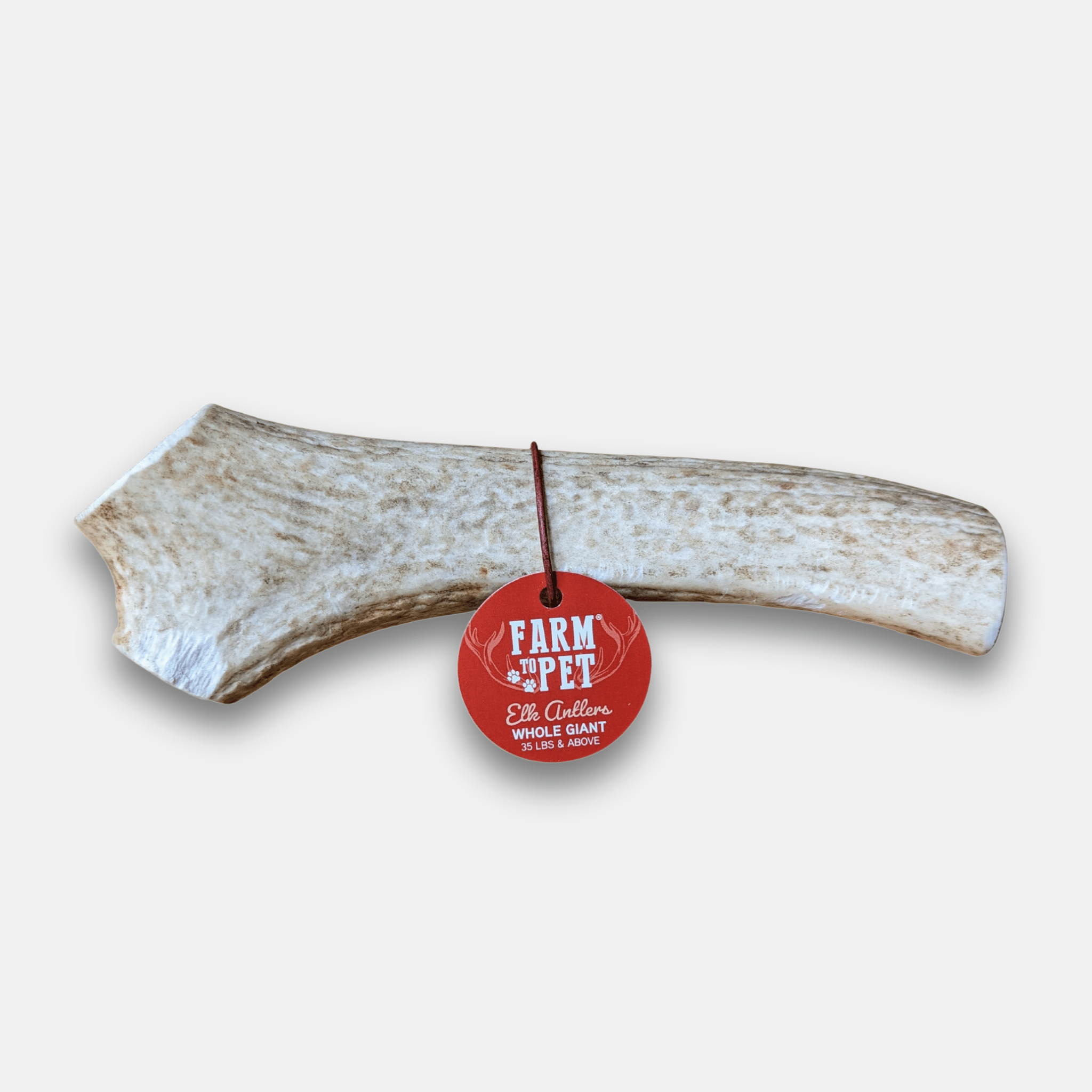 Elk Antler Dog Chews | All-Natural Whole and Split Elk Antler Chews for Dogs - Elite Pet Collective