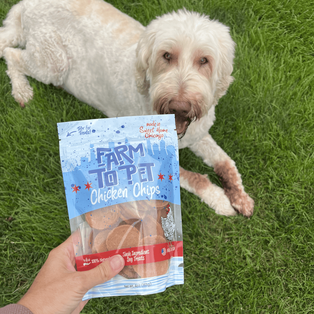 Chicago Chicken Chips for Dogs | Dog Treats To Celebrate Our Hometown - Elite Pet Collective