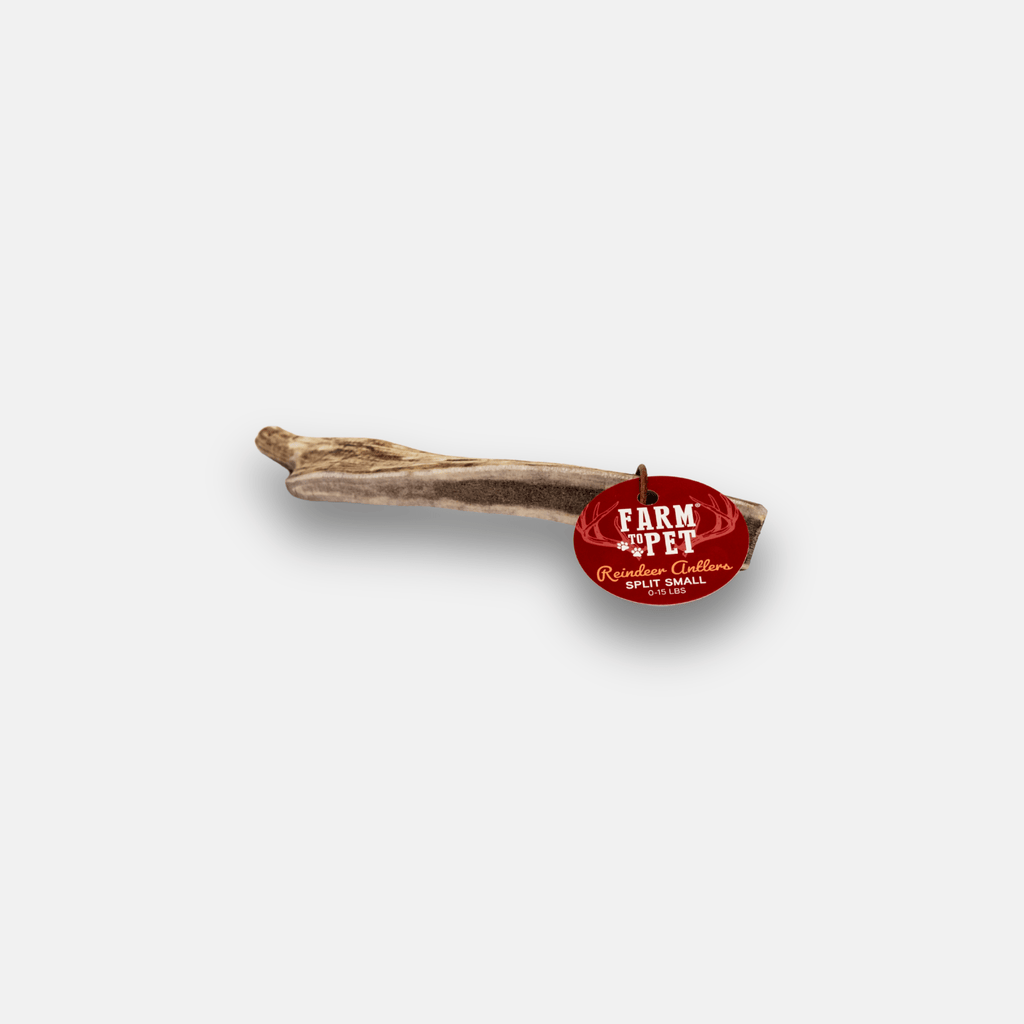 Reindeer Antler Dog Chews | Organic Chews for Dogs - Elite Pet Collective