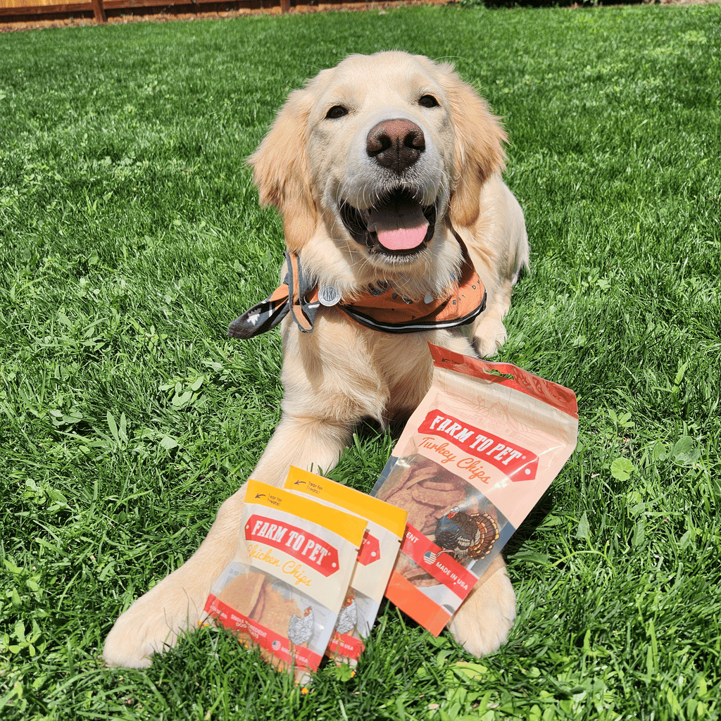 Puppy Packs 'n Snacks Dog Treat Starter Pack | Single-Ingredient Training Treats - Elite Pet Collective