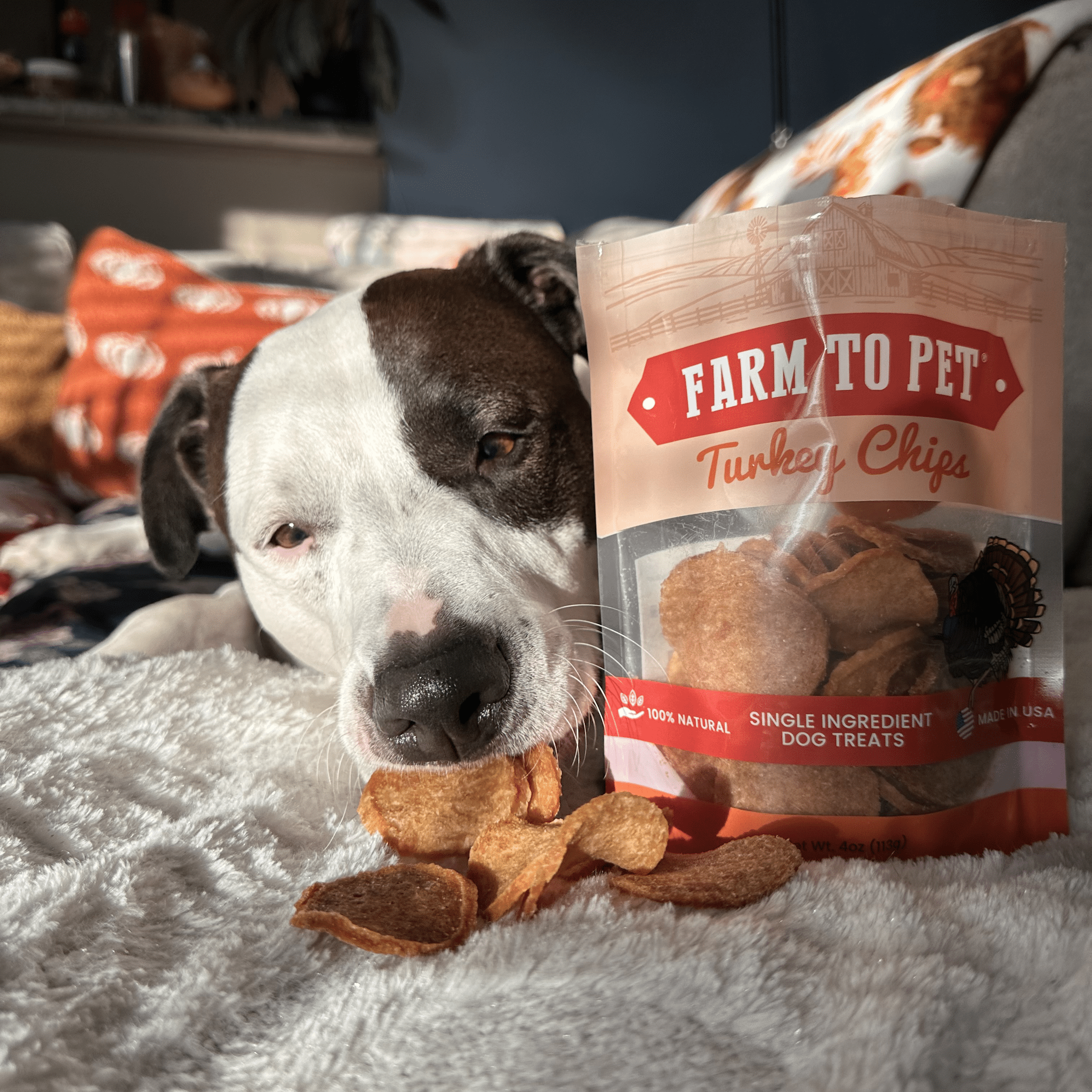 Turkey Chips for Dogs | All-Natural Single-Ingredient Healthy Dog Treats - Elite Pet Collective