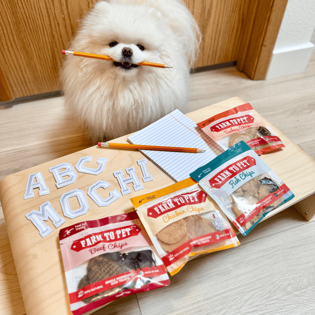 Snack Pack Dog Treat Sampler - Elite Pet Collective