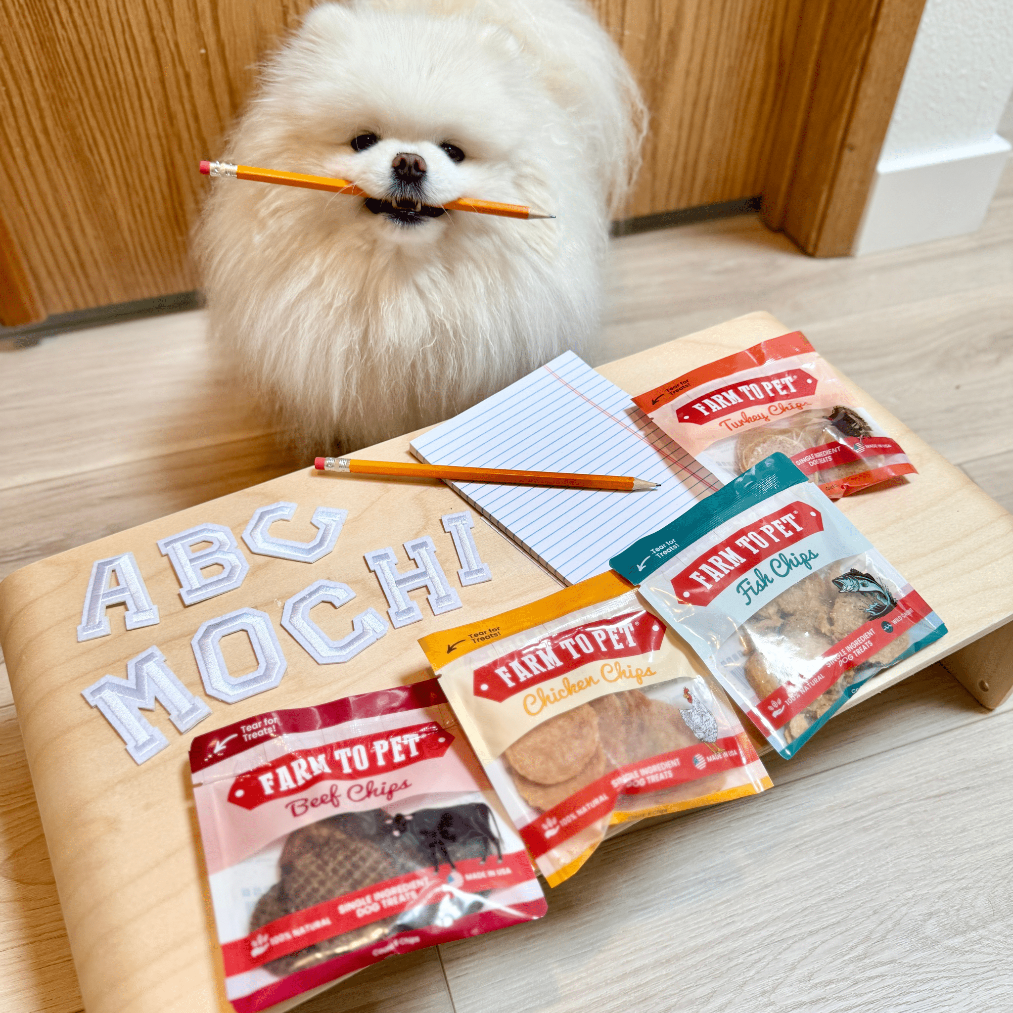 Snack Pack Dog Treat Sampler - Elite Pet Collective