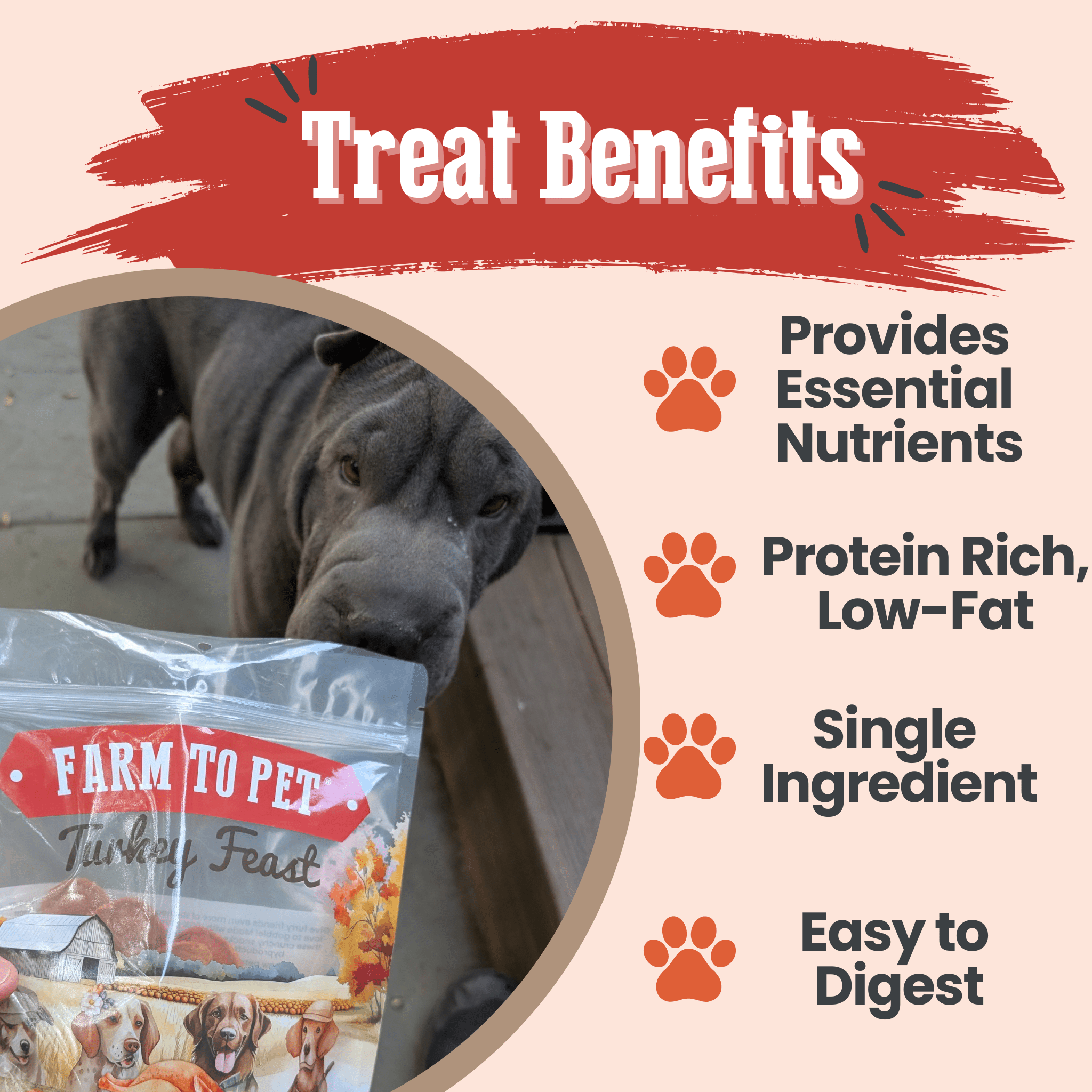 Turkey Feast Chips for Dogs - Elite Pet Collective