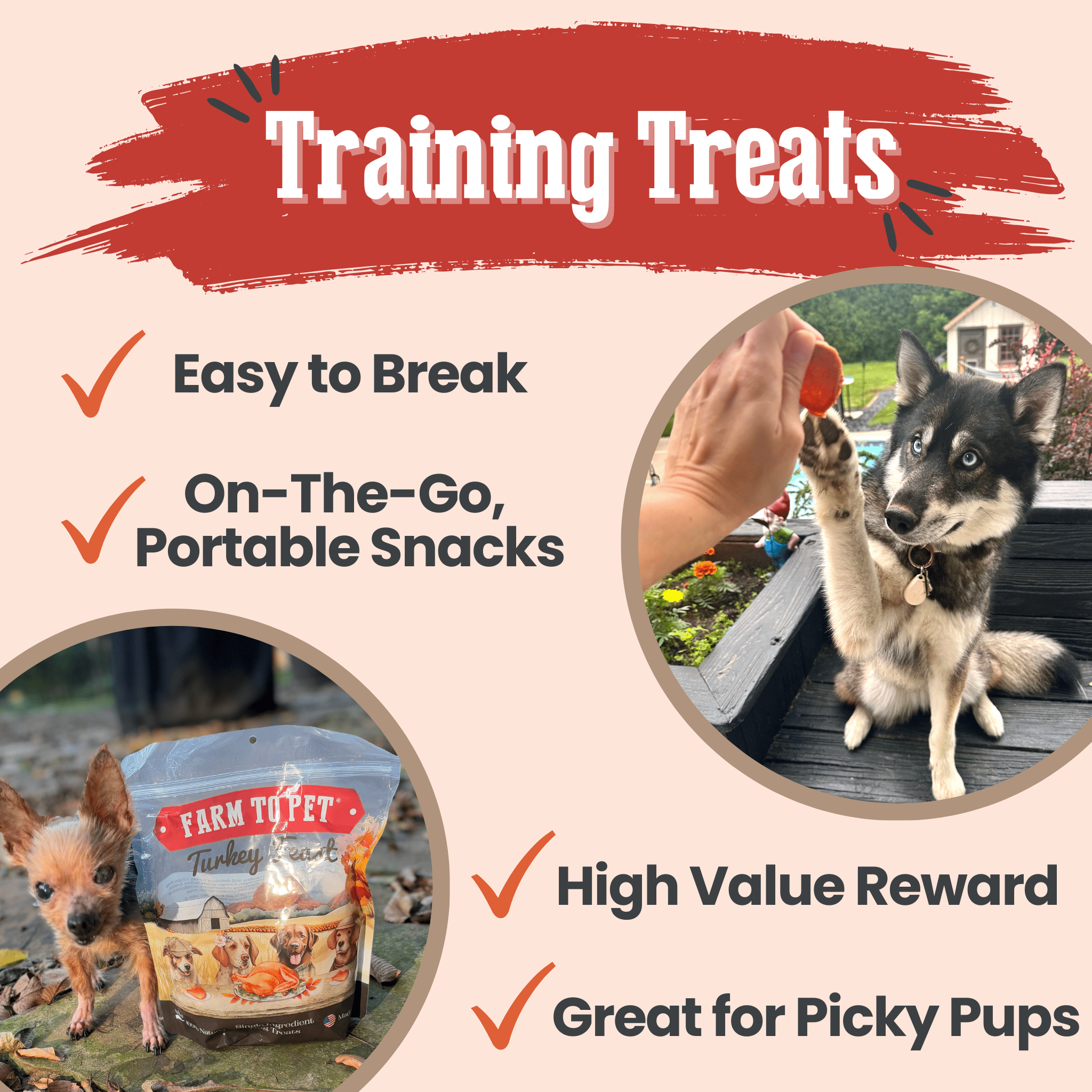 Turkey Feast Chips for Dogs - Elite Pet Collective