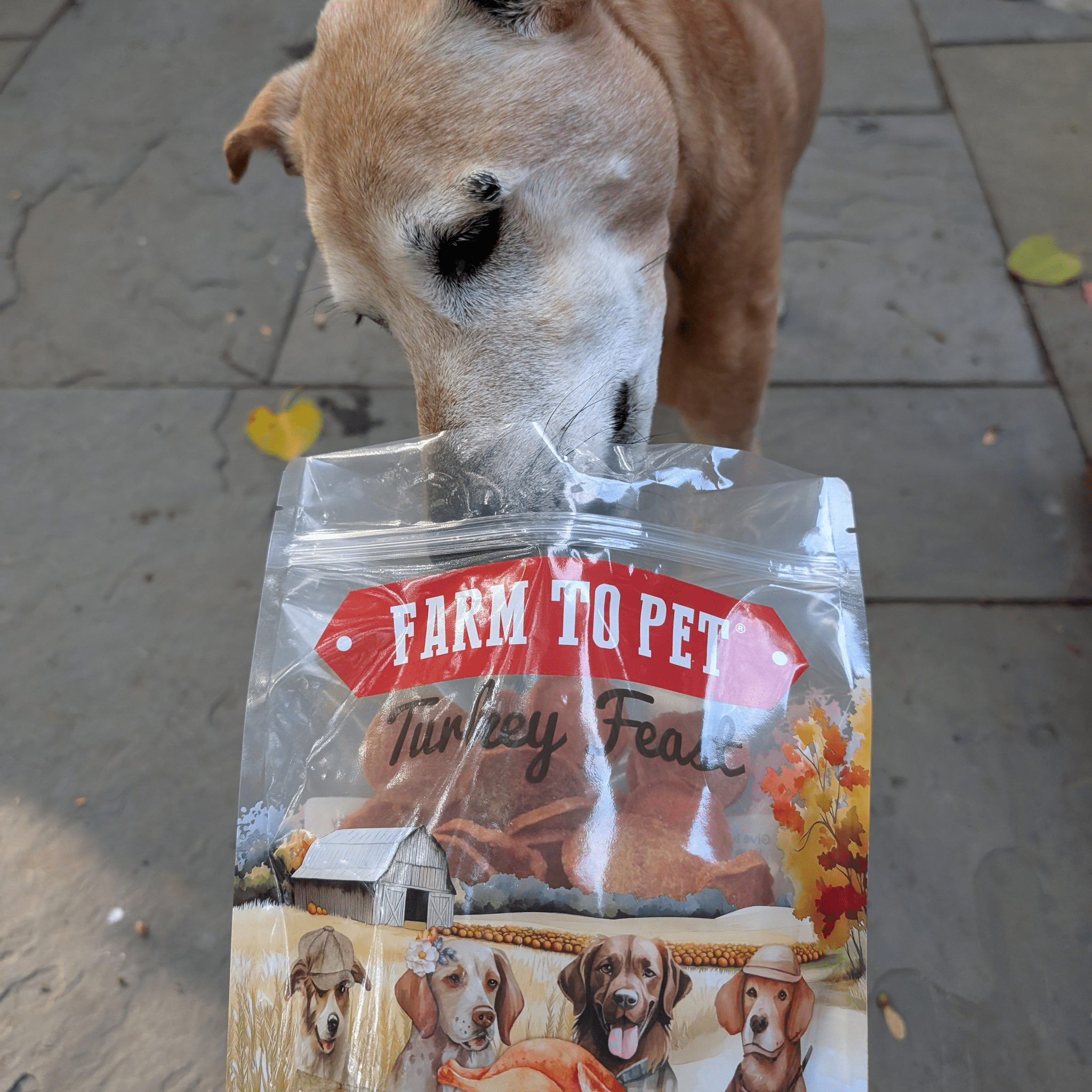 Turkey Feast Chips for Dogs - Elite Pet Collective