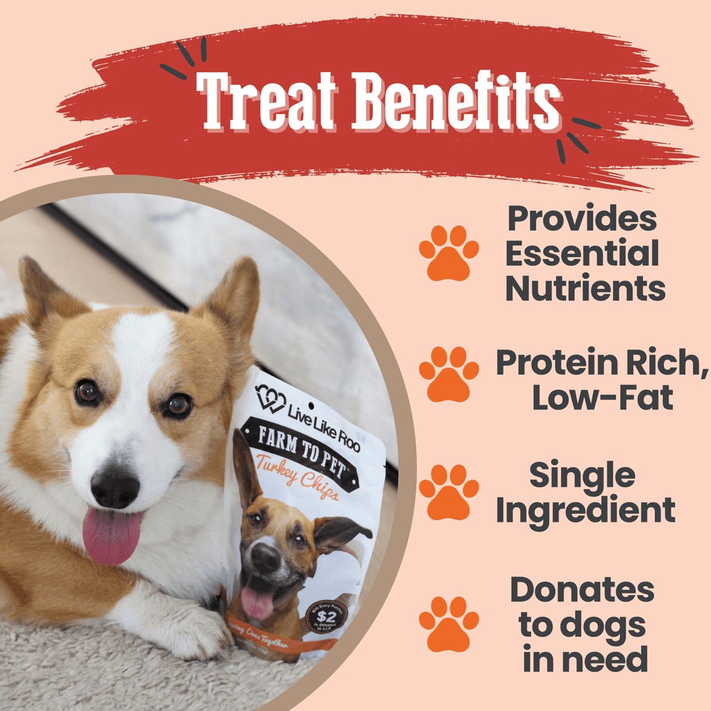 Live Like Roo Turkey Chips for Dogs | Dog Treats That Give Back - Elite Pet Collective