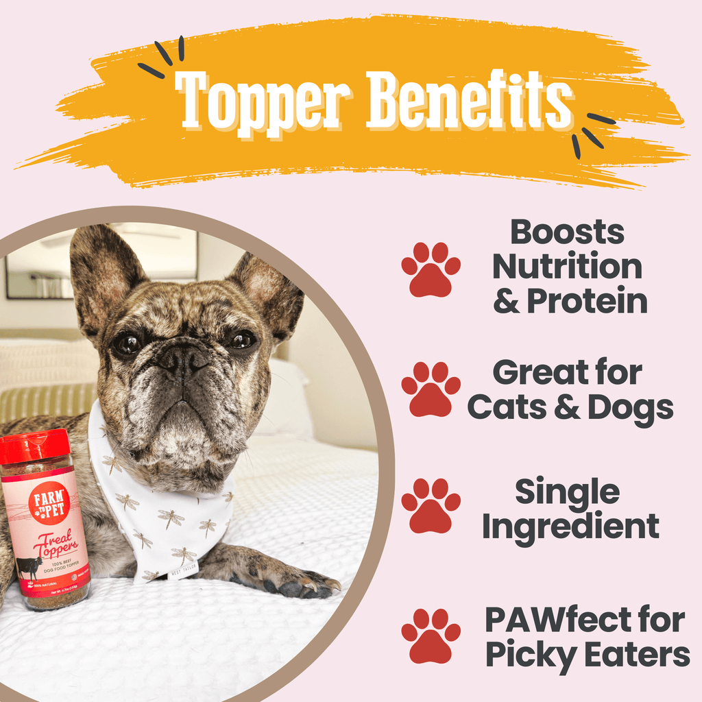 Treat Topper Beef Dog Food Topper | Powdered Meal Topper for Pets - Elite Pet Collective