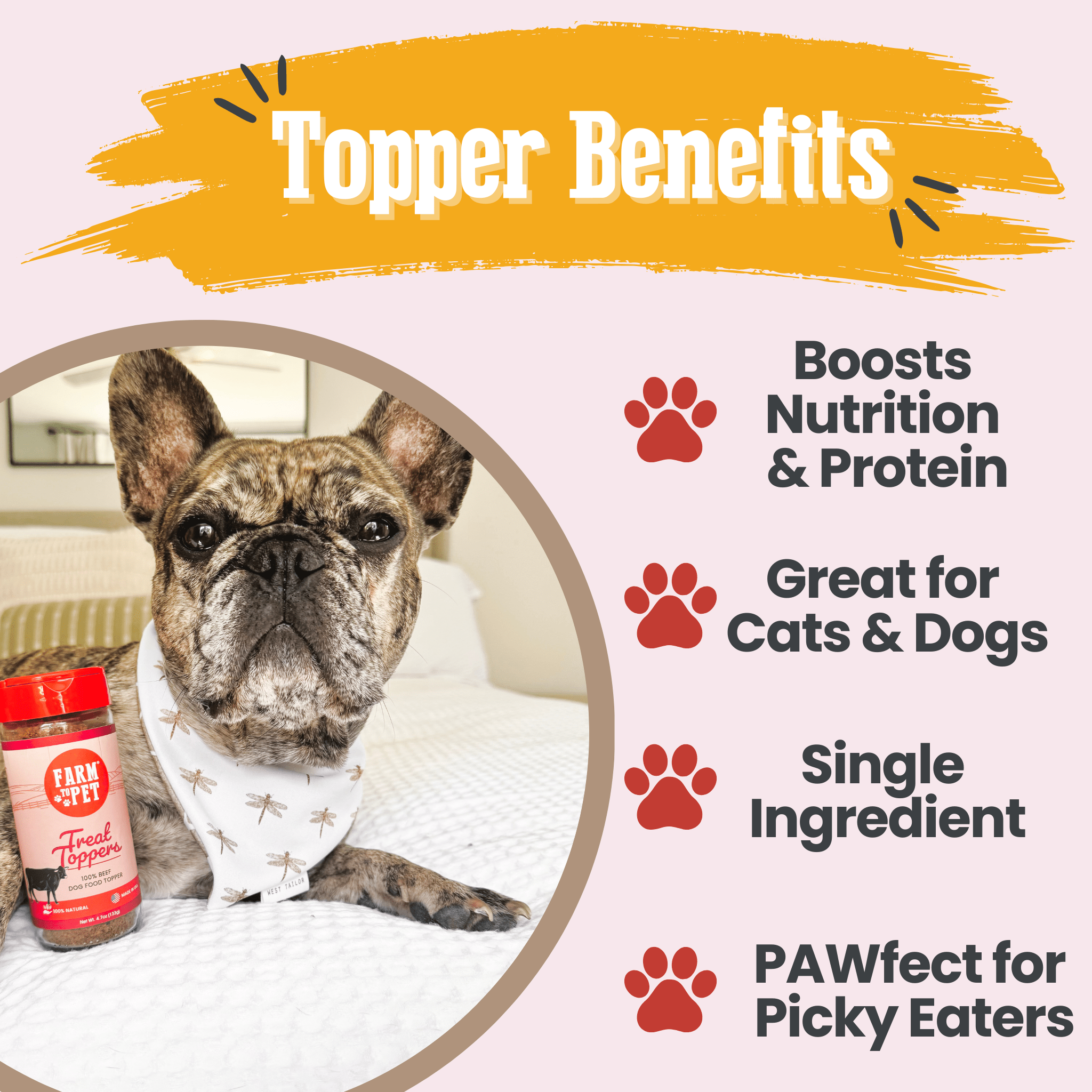 Treat Topper Beef Dog Food Topper | Powdered Meal Topper for Pets - Elite Pet Collective