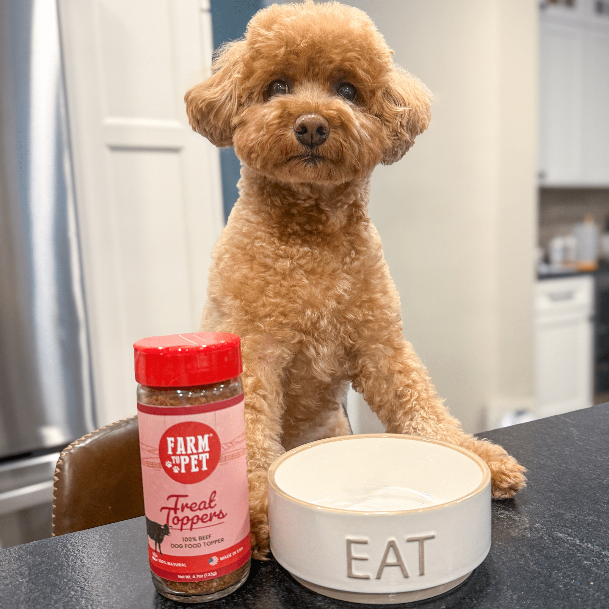 Treat Topper Beef Dog Food Topper | Powdered Meal Topper for Pets - Elite Pet Collective
