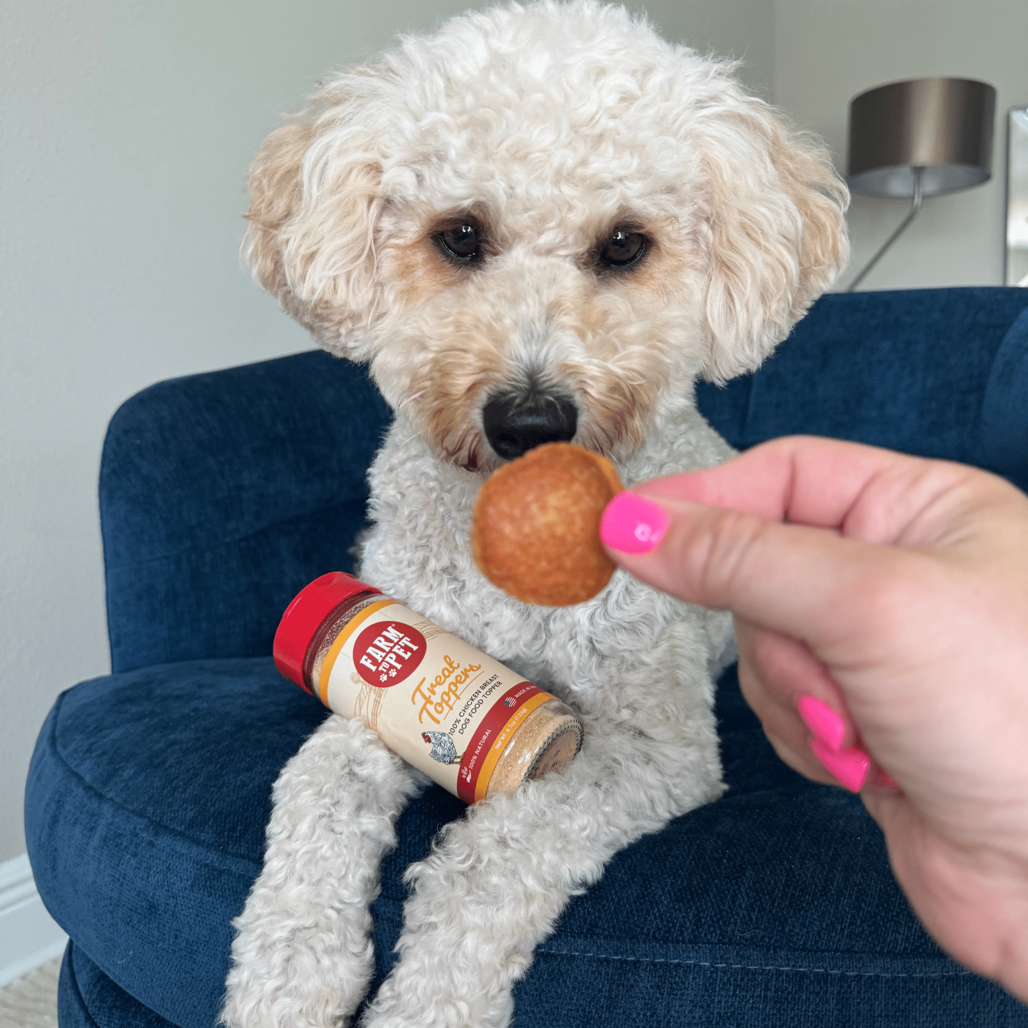 Treat Topper Chicken Dog Food Topper | Healthy Meal Supplement for Dogs - Elite Pet Collective