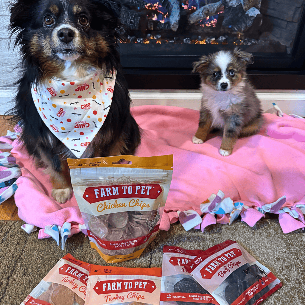Puppy Packs 'n Snacks Dog Treat Starter Pack | Single-Ingredient Training Treats - Elite Pet Collective