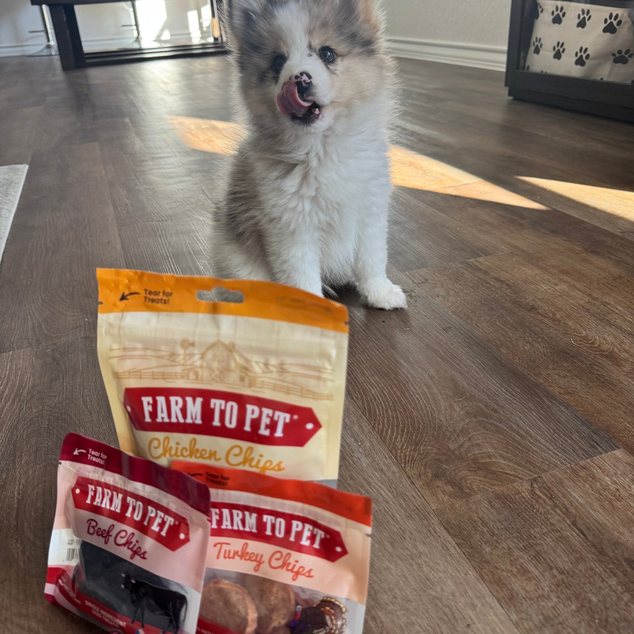 Puppy Packs 'n Snacks Dog Treat Starter Pack | Single-Ingredient Training Treats - Elite Pet Collective