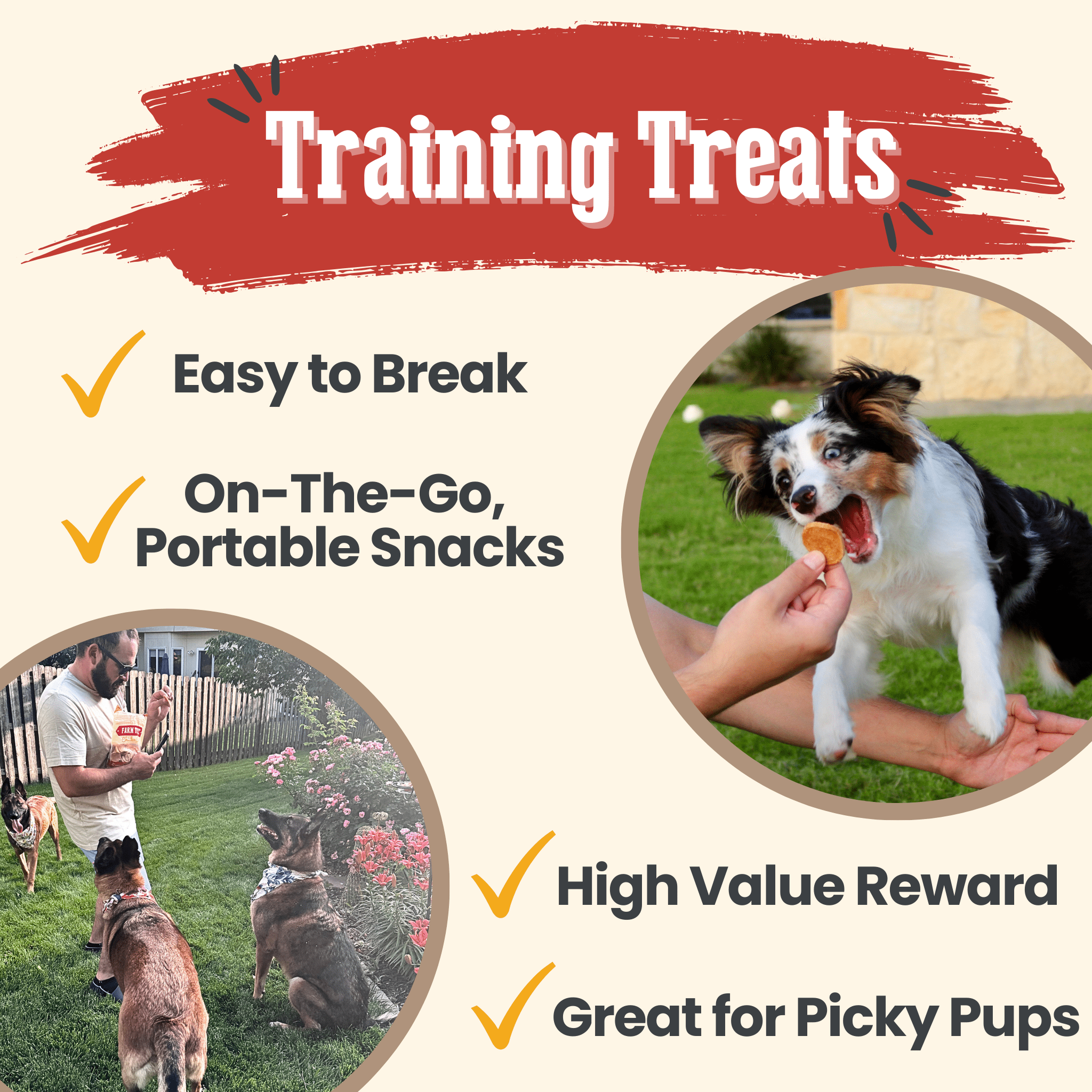 Chicken Chips for Dogs | All-Natural Single-Ingredient Dog Treats - Elite Pet Collective