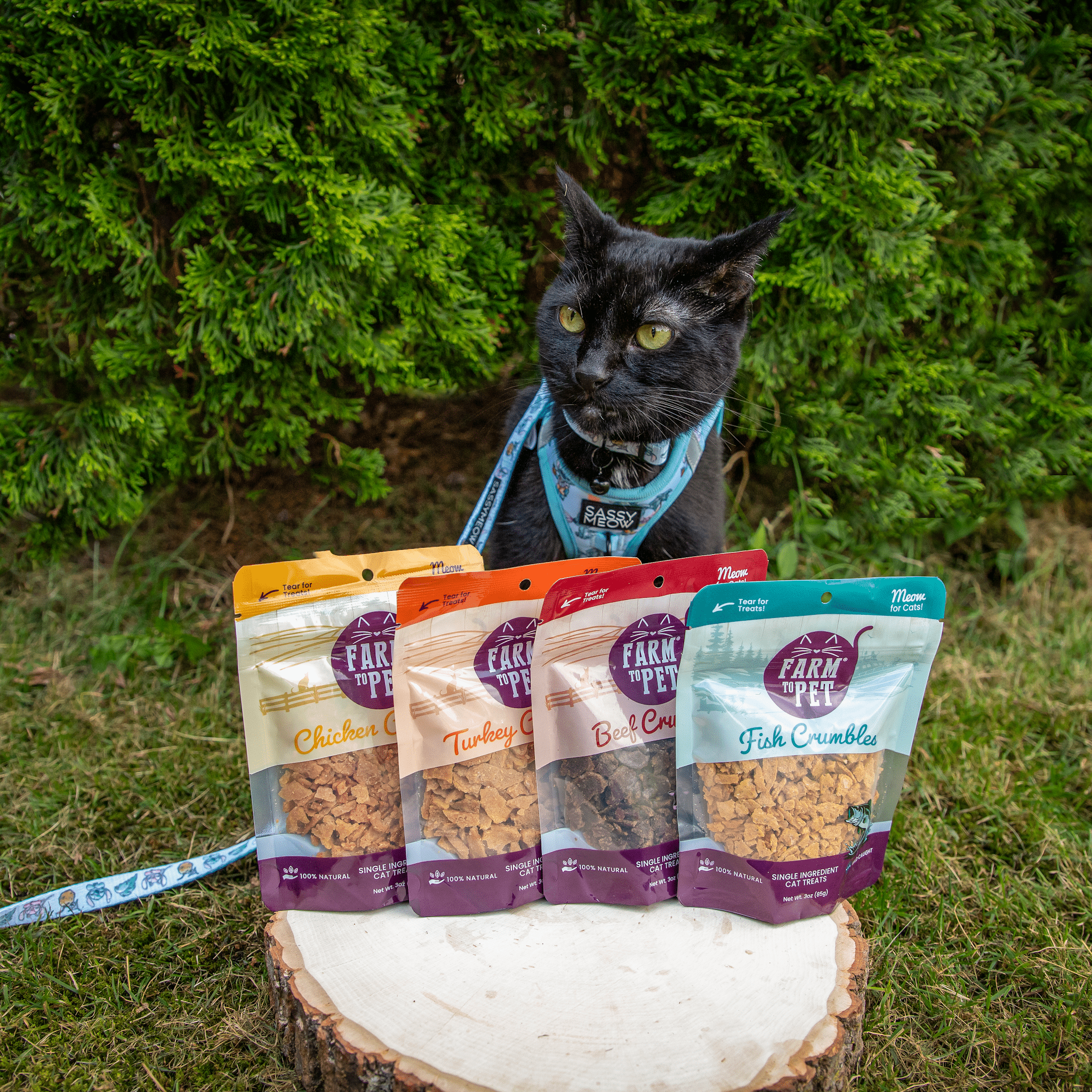 Fish Crumbles for Cats | All-Natural Fish Cat Treats - Elite Pet Collective