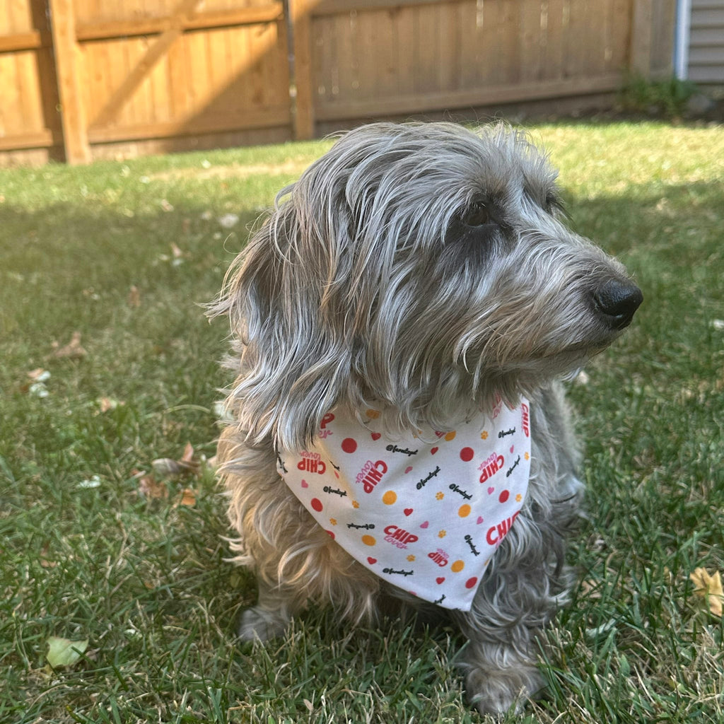 Tie-on Dog Bandana | Adjustable String-tie Bandana for Dogs and Cats - Elite Pet Collective