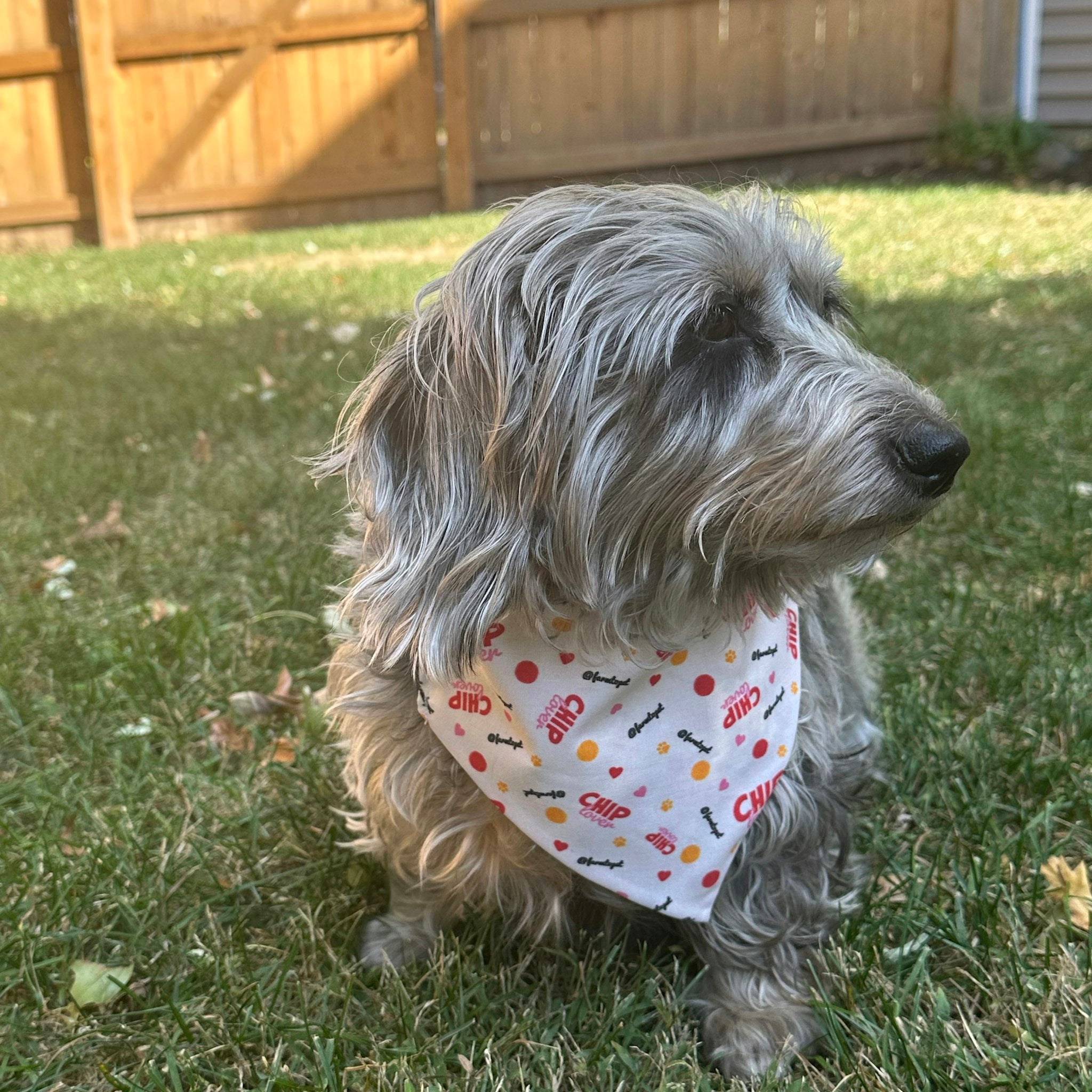 Tie-on Dog Bandana | Adjustable String-tie Bandana for Dogs and Cats - Elite Pet Collective