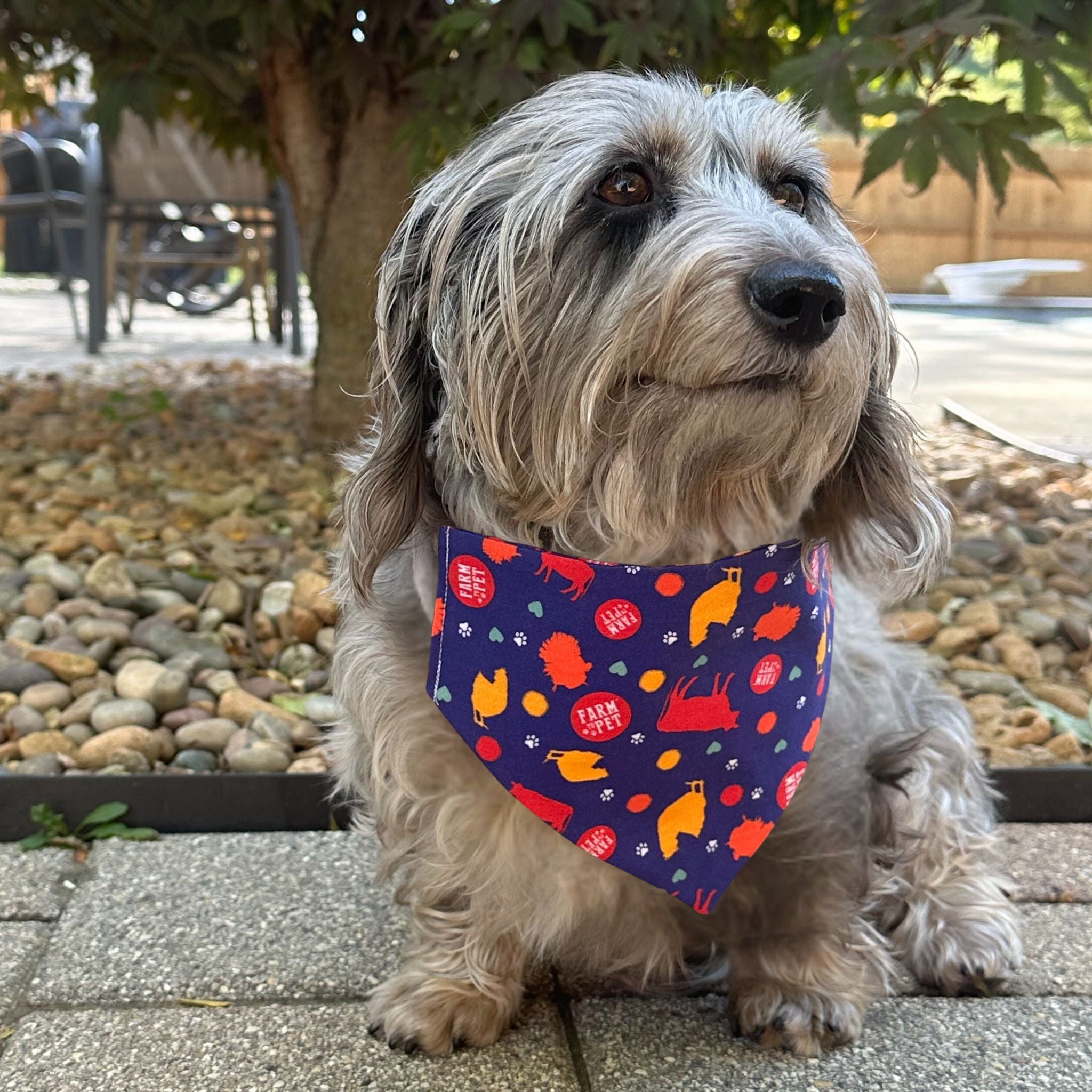 Tie-on Dog Bandana | Adjustable String-tie Bandana for Dogs and Cats - Elite Pet Collective